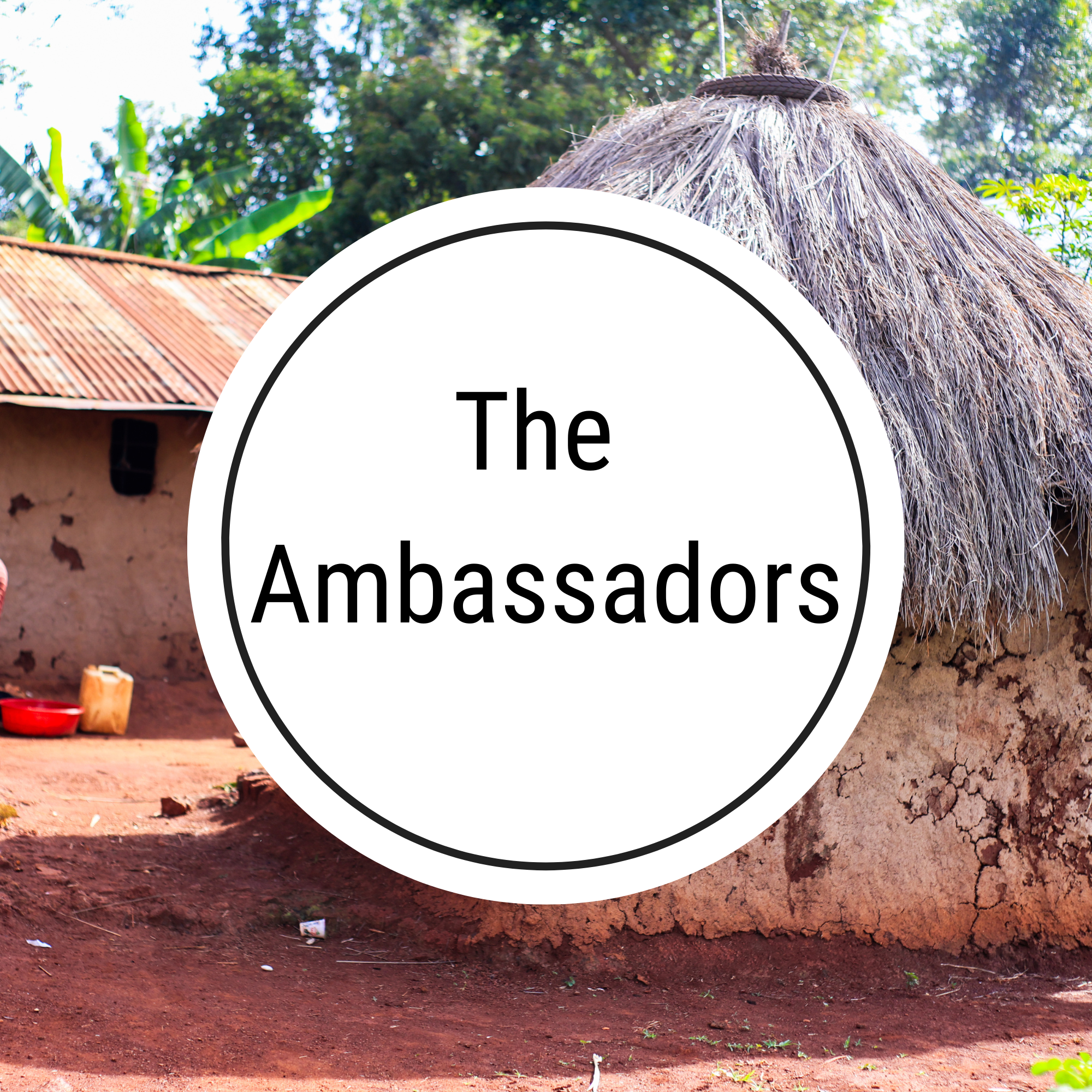 The Ambassadors